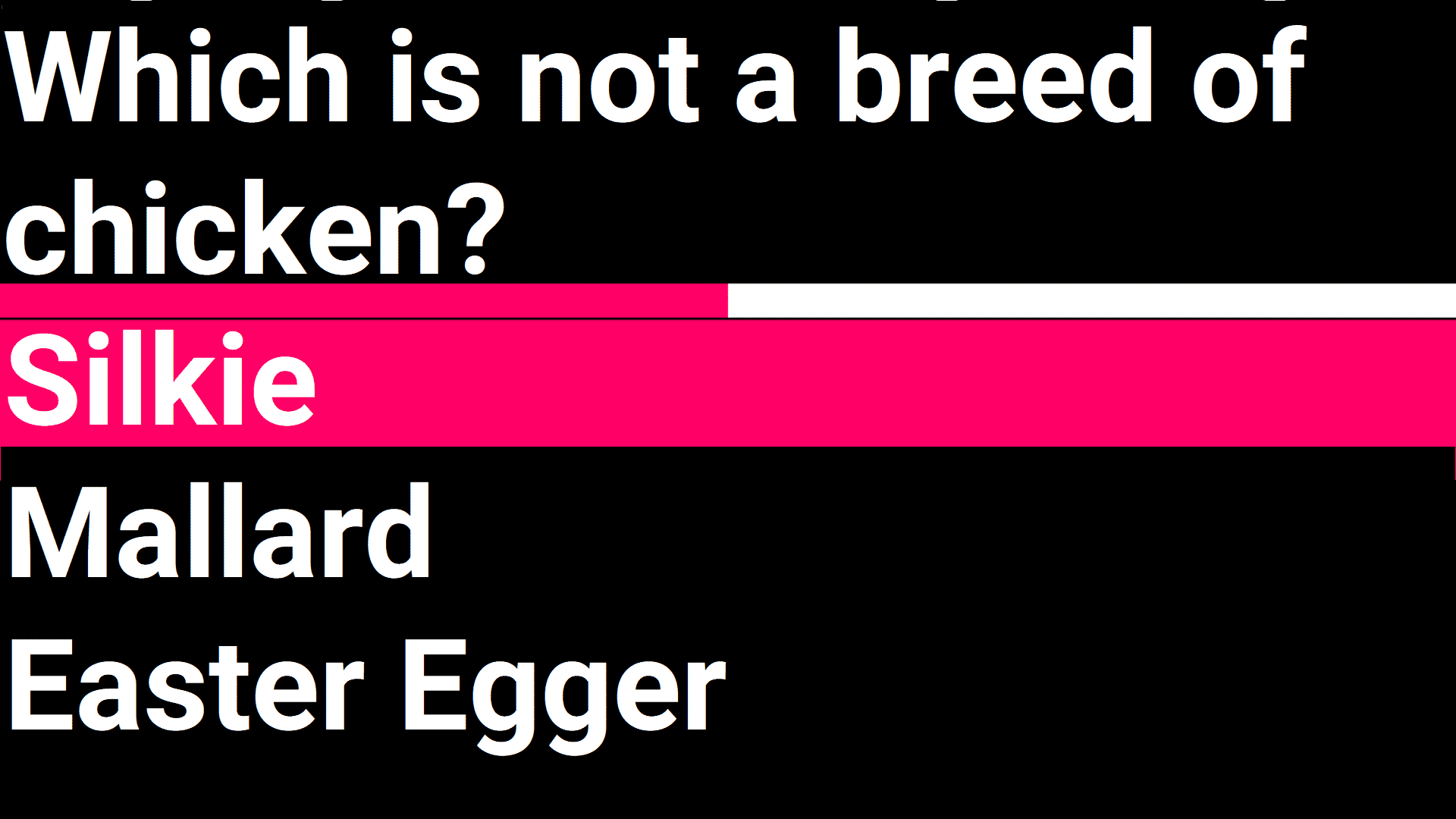 Quick Cards screenshot - Which is not a breed of chicken? silkie mallad easter egger