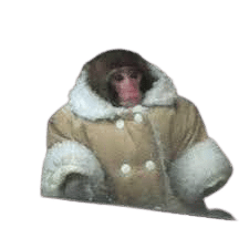 ikea monkey wearing a fuzzy coat