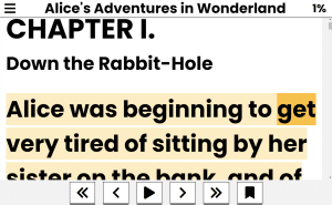 Accessibyte Studio book reader screenshot
